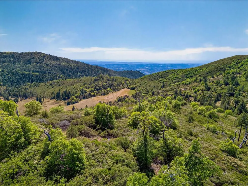 200 Palomar Divide Truck Trail Palomar Mountain, CA 92060