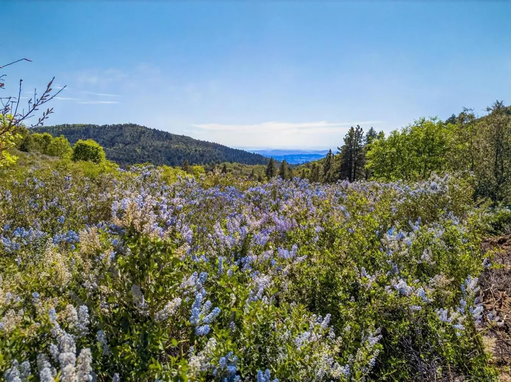 200 Palomar Divide Truck Trail Palomar Mountain, CA 92060