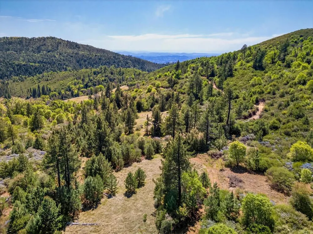 200 Palomar Divide Truck Trail Palomar Mountain, CA 92060