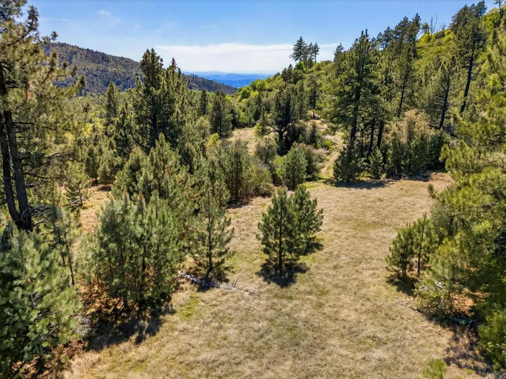 200 Palomar Divide Truck Trail Palomar Mountain, CA 92060
