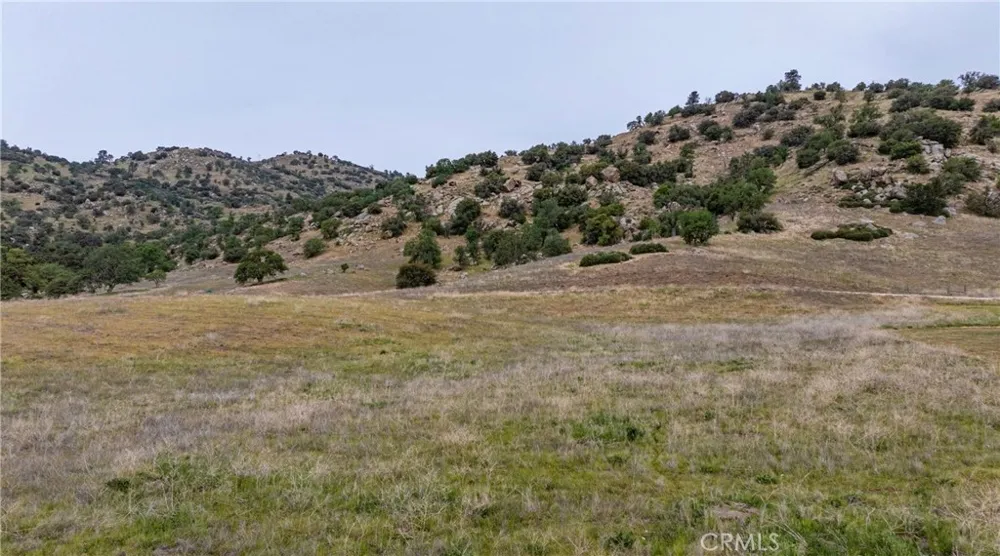 Harness Drive Tehachapi, CA 93561