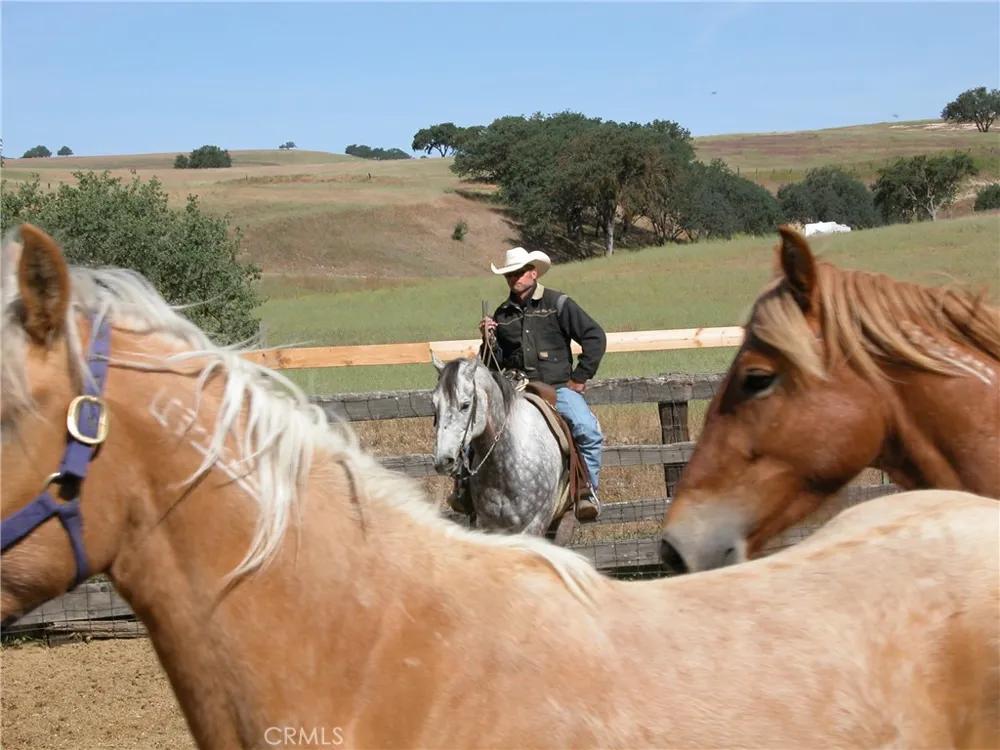 Nickel Creek Road San Miguel, CA 93451
