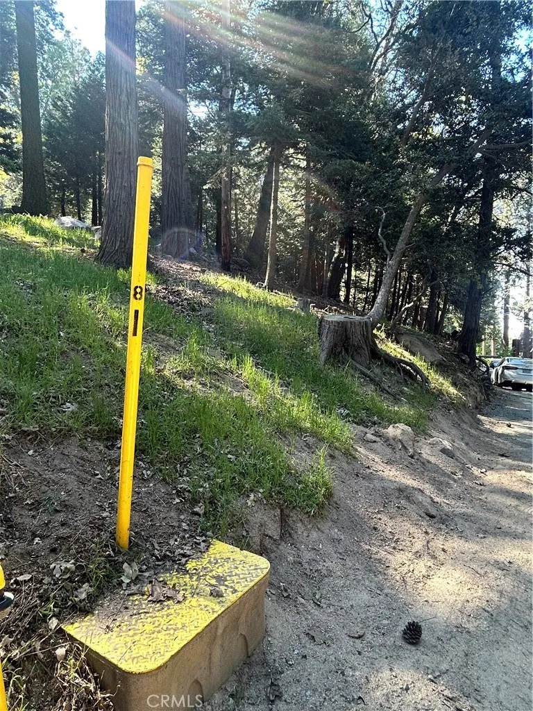 Forest Vw, Arrowhead Twin Peaks, CA 92391