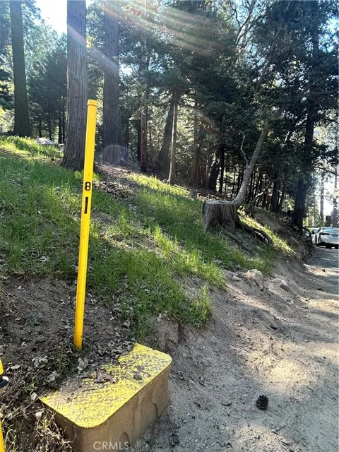 Forest Vw, Arrowhead