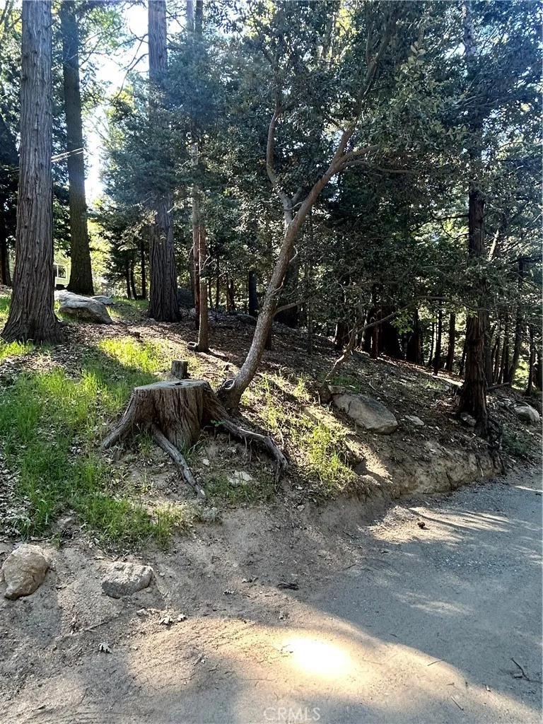Forest Vw, Arrowhead Twin Peaks, CA 92391