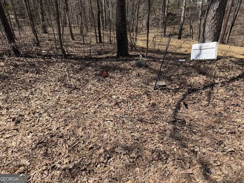 LOT38 Killdeer LN Monticello, GA 31064
