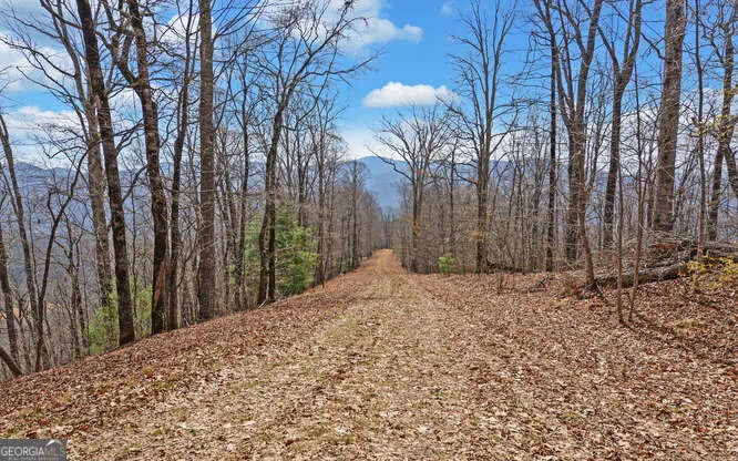 279 Collins Creek RD Hiawassee, GA 30546