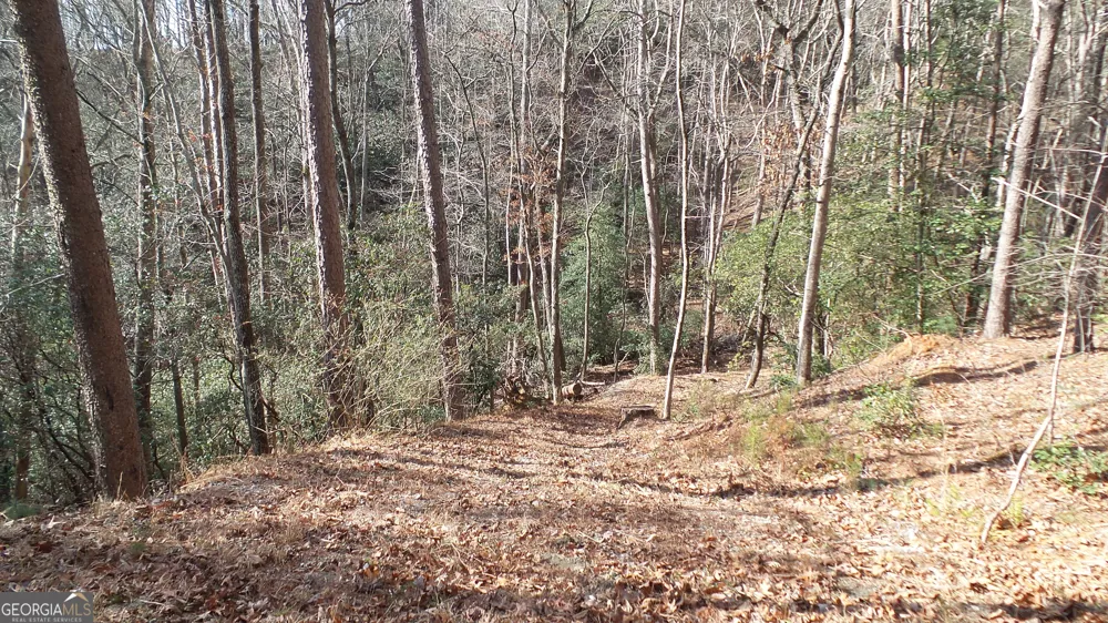 0 Bahn Innsbruck Helen, GA 30545