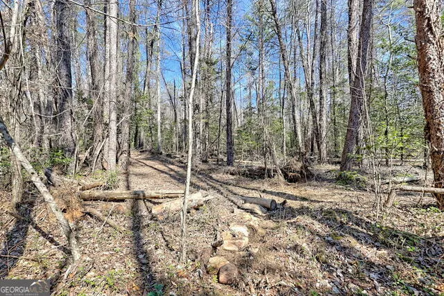 4960 Laurel Lodge RD Clarkesville, GA 30523