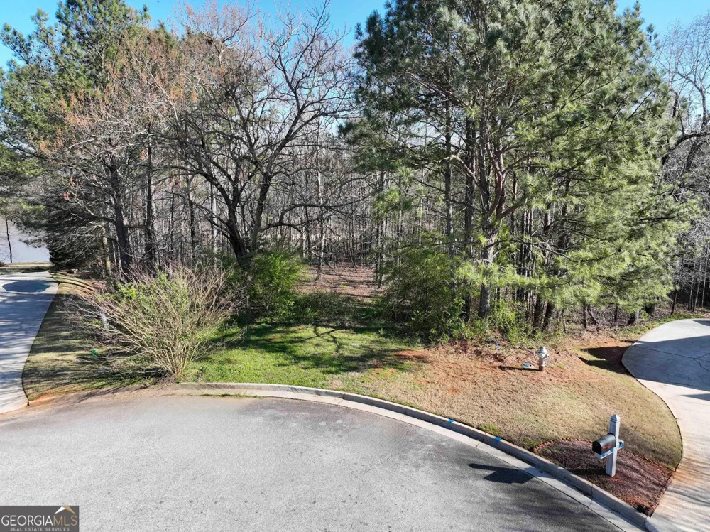 6000 Montlake AVE McDonough, GA 30253