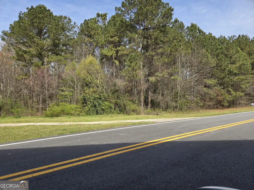 0 Bear Creek BLVD Hampton, GA 30228