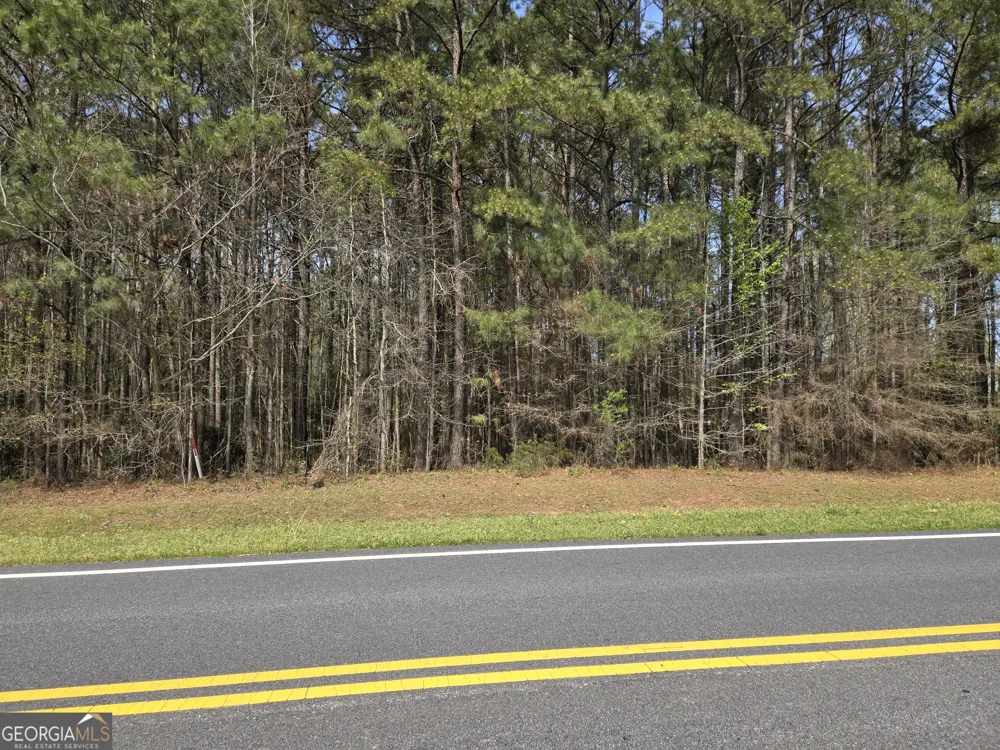 0 Bear Creek BLVD Hampton, GA 30228