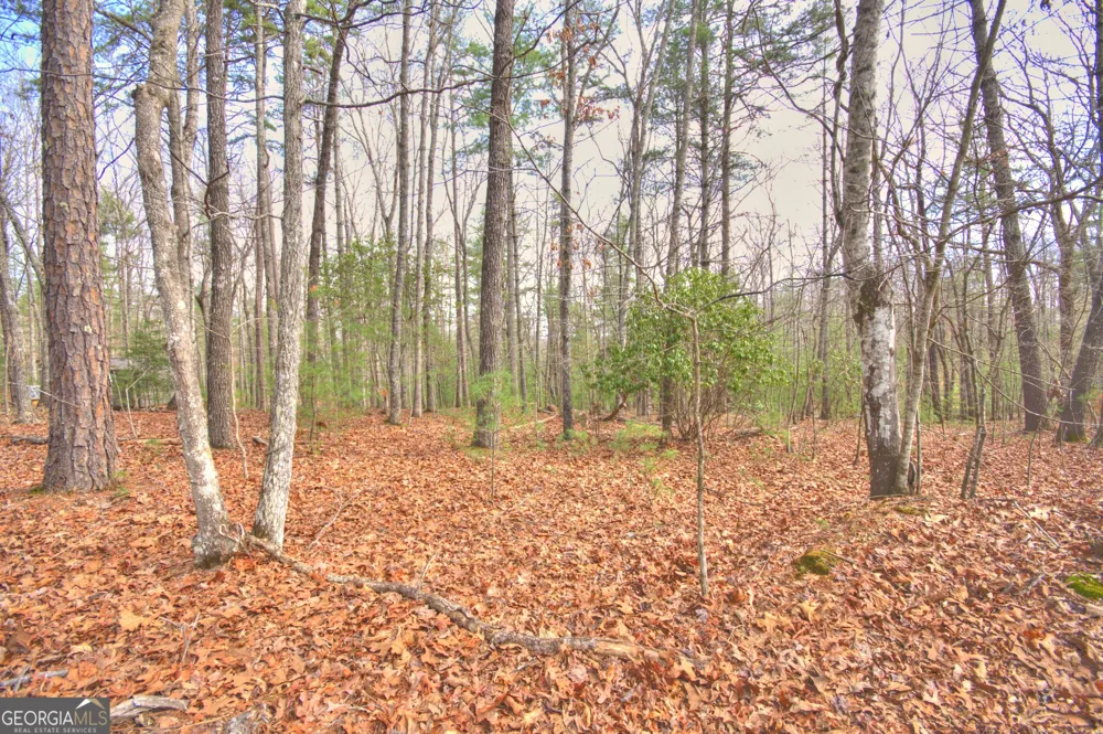 LOT 12 Deer FRST Morganton, GA 30560