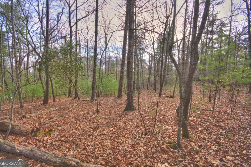 LOT 12 Deer FRST Morganton, GA 30560