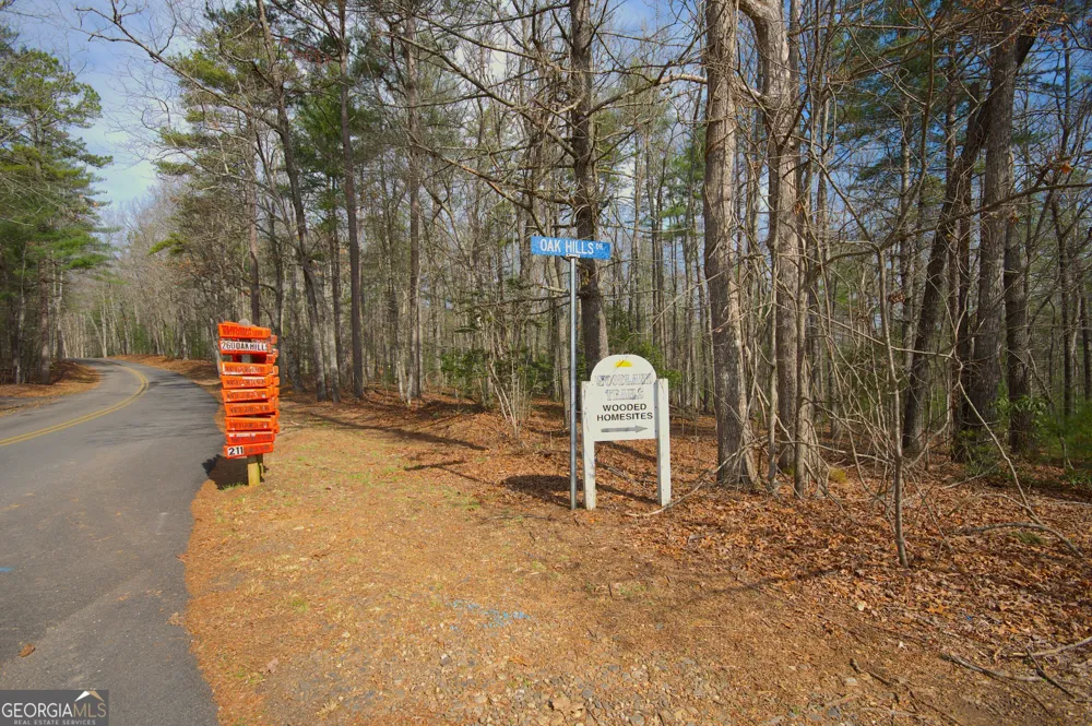 LOT 12 Deer FRST Morganton, GA 30560