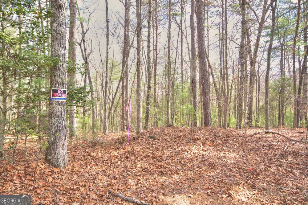 LOT 12 Deer FRST Morganton, GA 30560