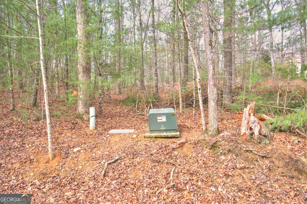 LOT 12 Deer FRST Morganton, GA 30560
