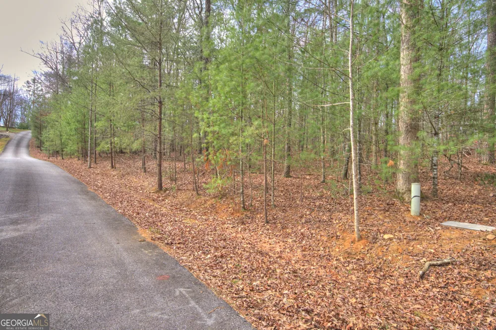 LOT 12 Deer FRST Morganton, GA 30560