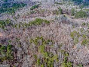 0 Williams TRACT D LN Ball Ground, GA 30107