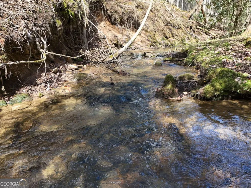 LOT 44A Synacia DR Mineral Bluff, GA 30559