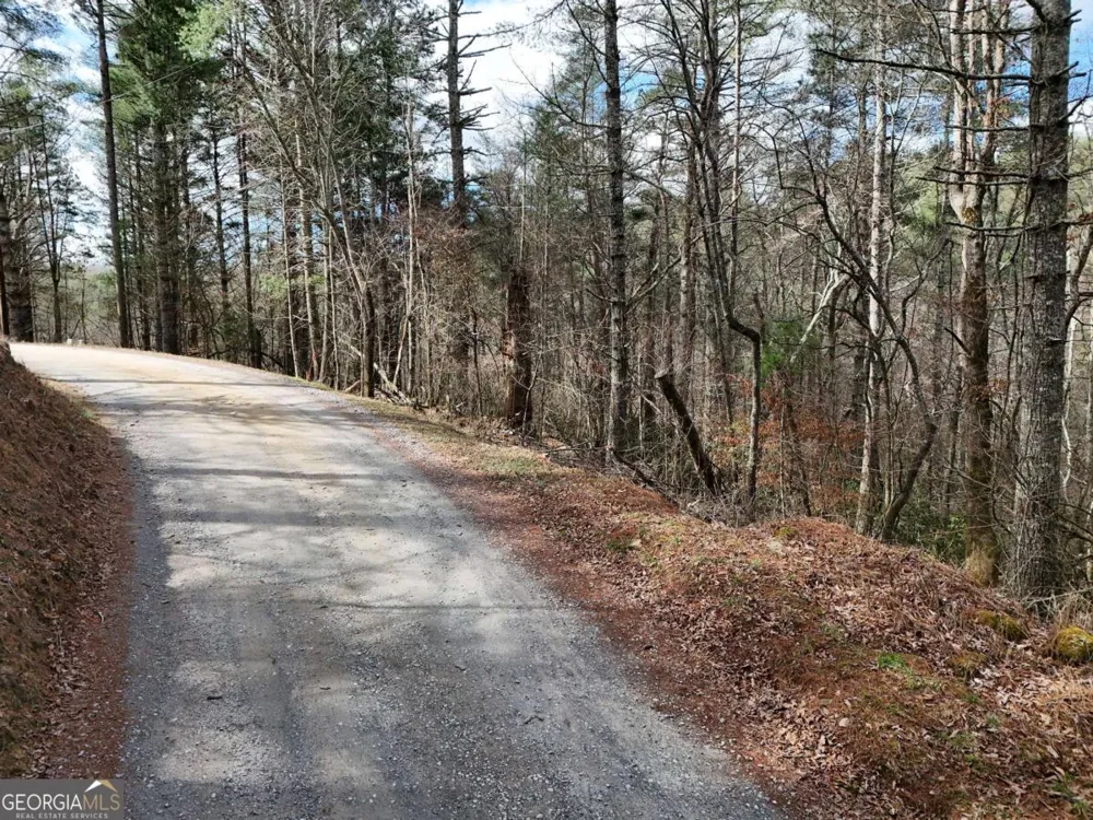 LOT 44A Synacia DR Mineral Bluff, GA 30559