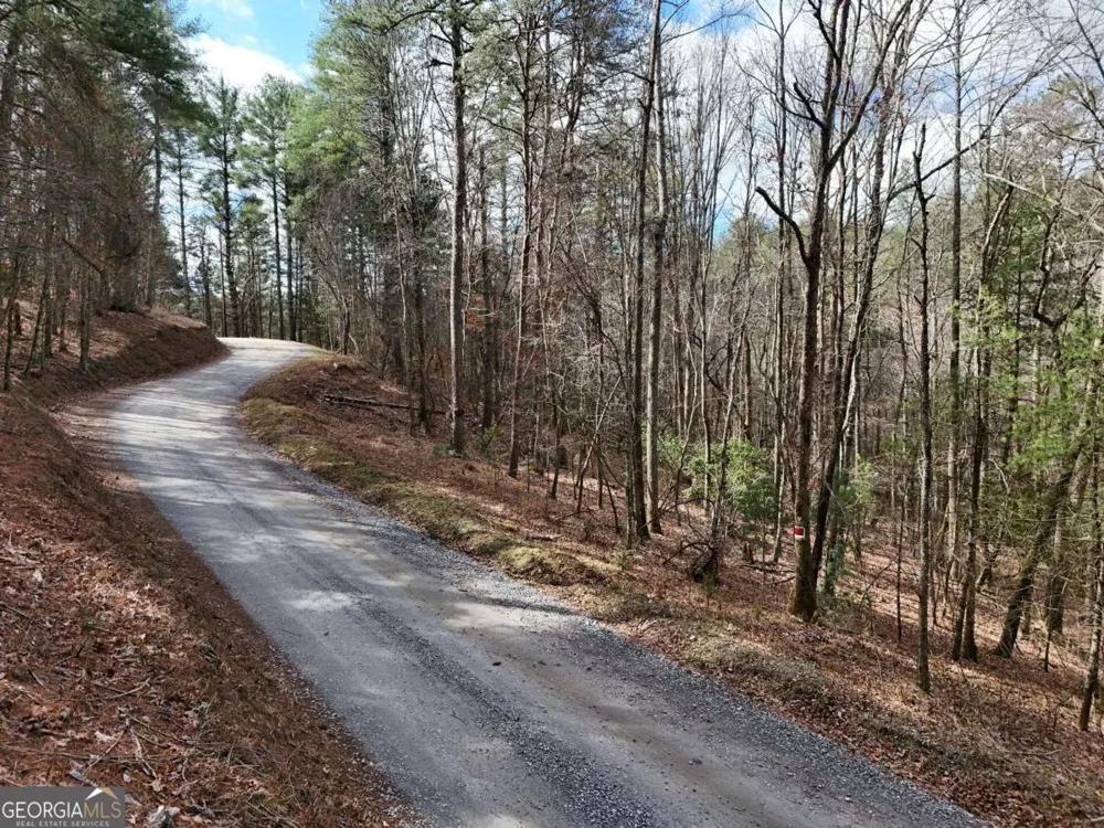 LOT 44A Synacia DR Mineral Bluff, GA 30559