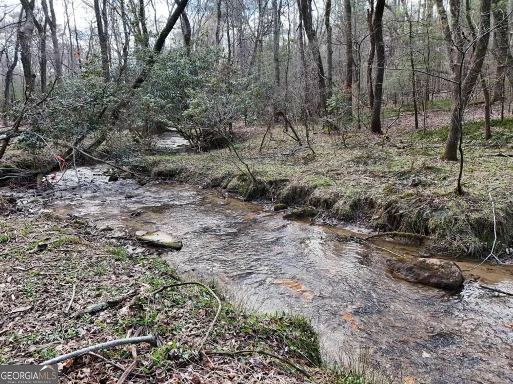 LOT 44A Synacia DR Mineral Bluff, GA 30559