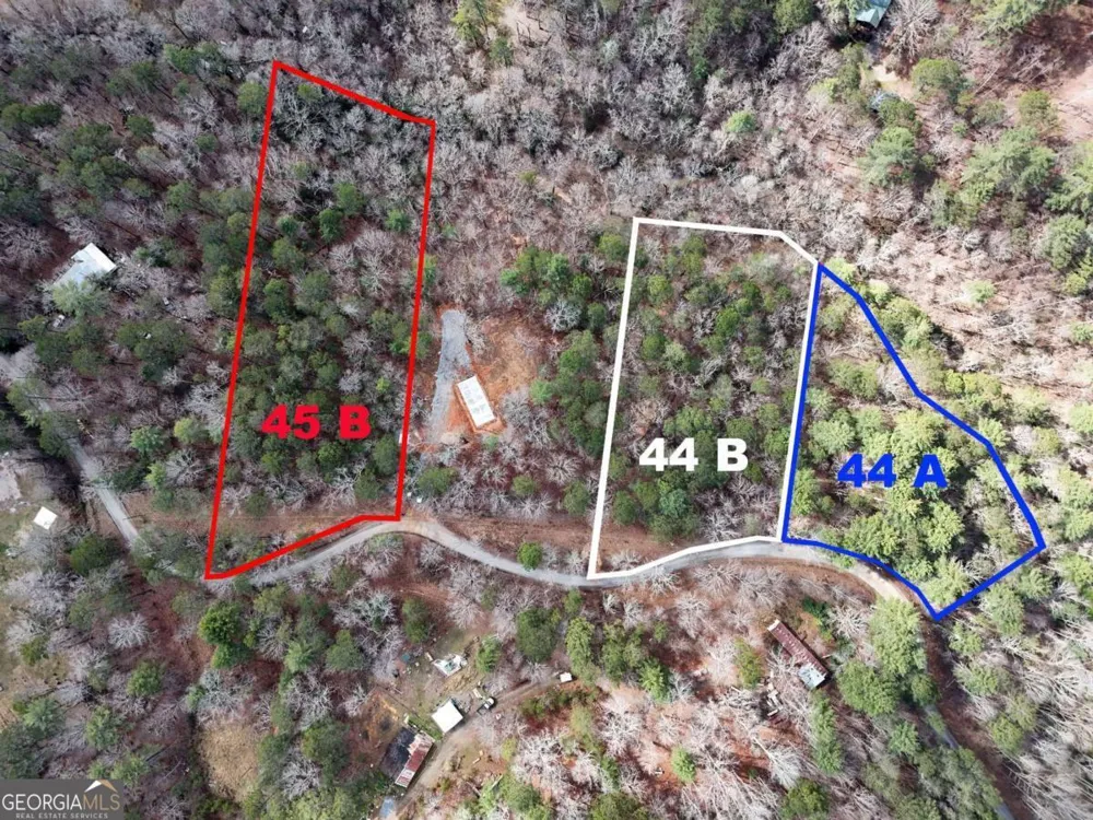 LOT 44A Synacia DR Mineral Bluff, GA 30559
