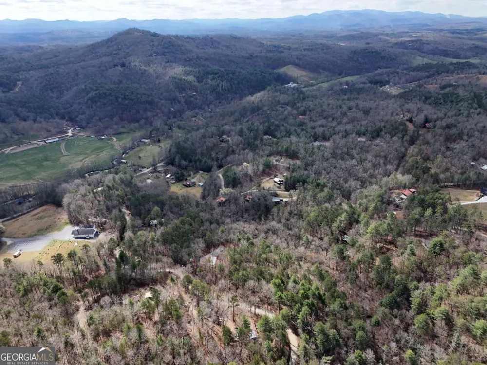 LOT 44A Synacia DR Mineral Bluff, GA 30559