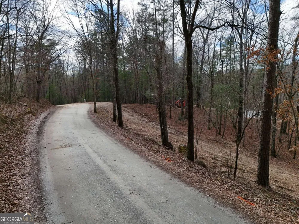 LOT 44A Synacia DR Mineral Bluff, GA 30559