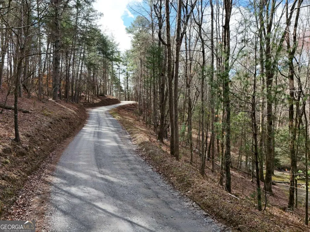 LOT 44A Synacia DR Mineral Bluff, GA 30559