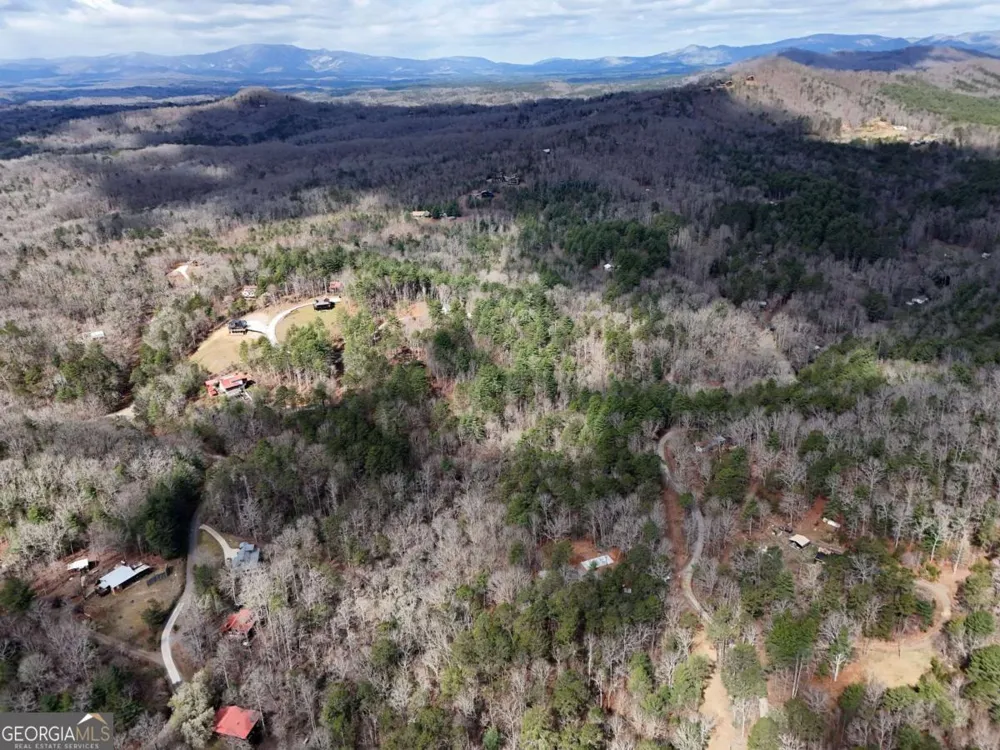 LOT 44A Synacia DR Mineral Bluff, GA 30559