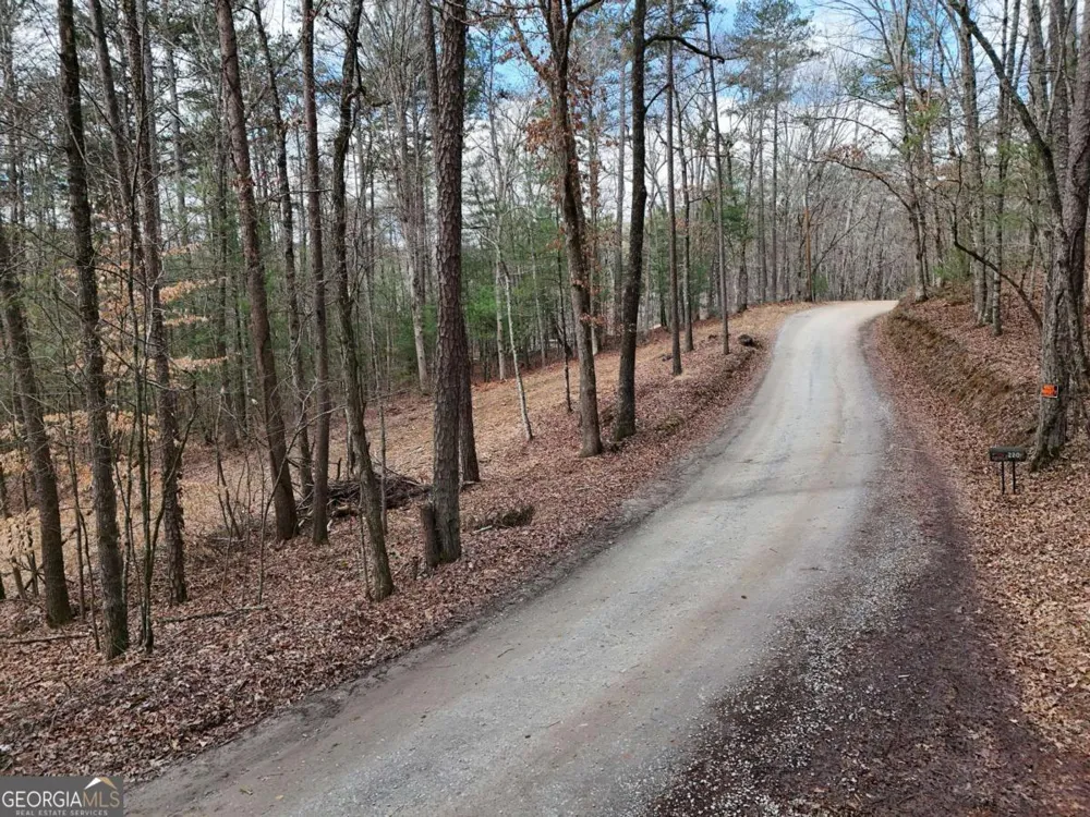 LOT 44A Synacia DR Mineral Bluff, GA 30559