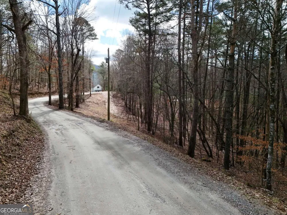 LOT 44A Synacia DR Mineral Bluff, GA 30559