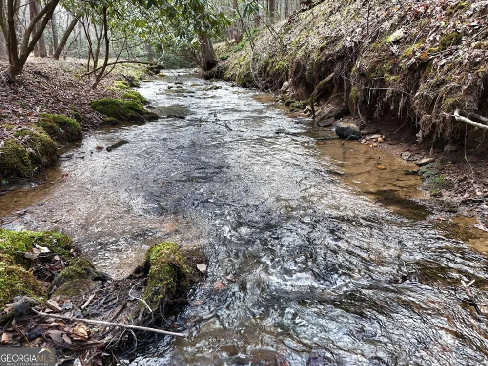 LOT 44A Synacia DR Mineral Bluff, GA 30559