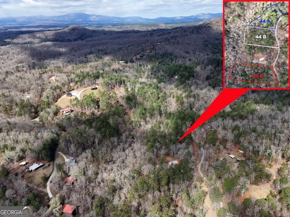 LOT 44A Synacia DR Mineral Bluff, GA 30559