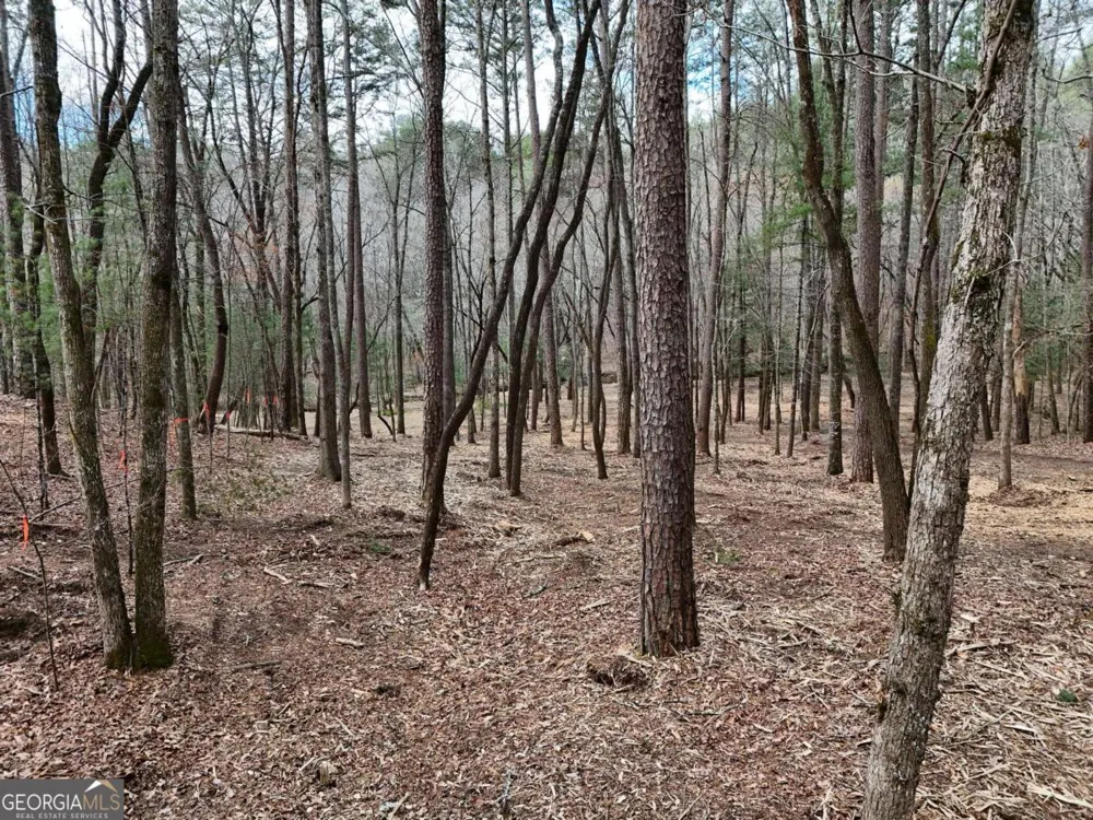 LOT 44A Synacia DR Mineral Bluff, GA 30559