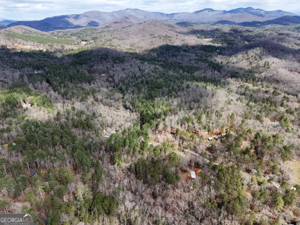 LOT 44A Synacia DR Mineral Bluff, GA 30559