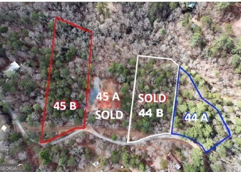 LOT 44A Synacia DR Mineral Bluff, GA 30559