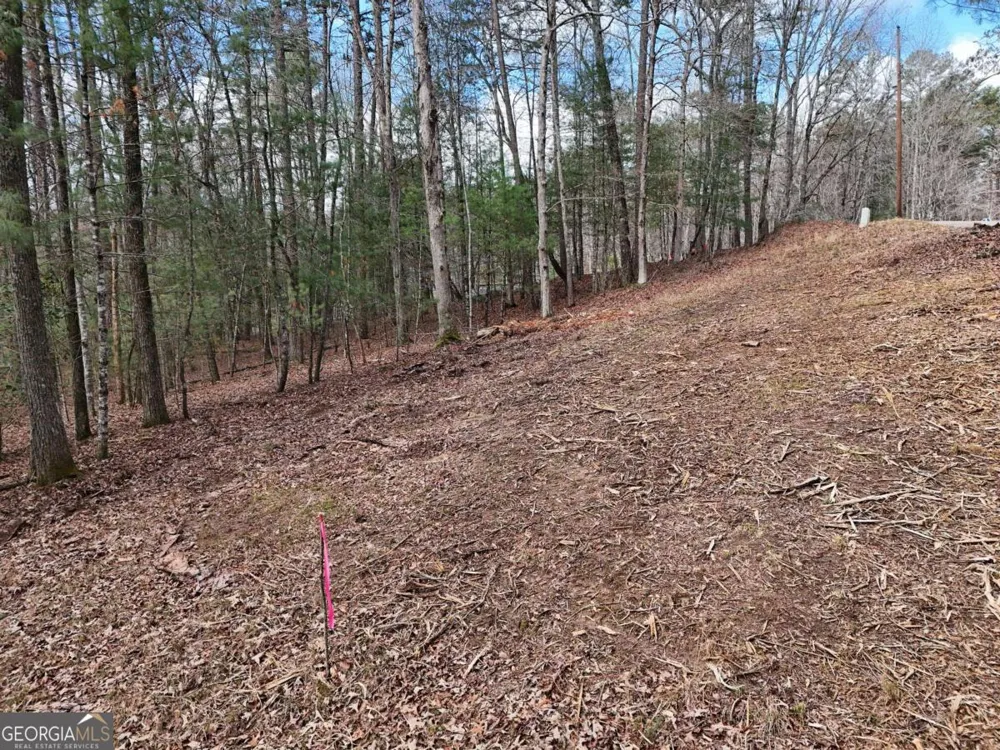 LOT 45B Synacia DR Mineral Bluff, GA 30559