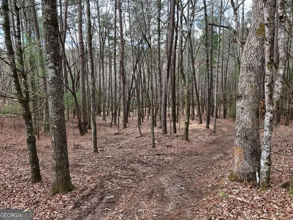 LOT 45B Synacia DR Mineral Bluff, GA 30559