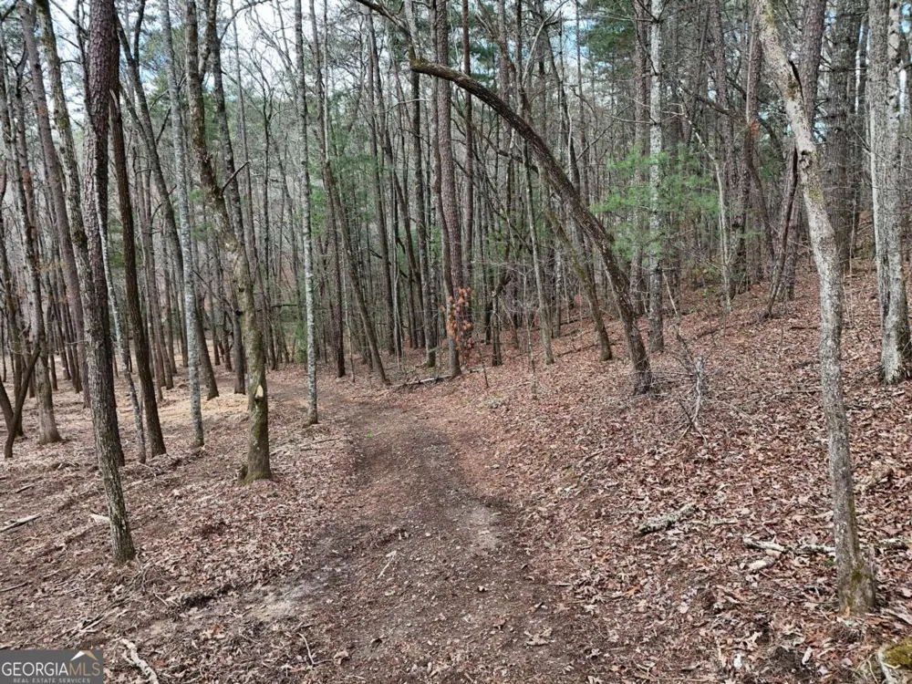 LOT 45B Synacia DR Mineral Bluff, GA 30559