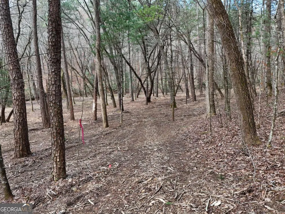 LOT 45B Synacia DR Mineral Bluff, GA 30559