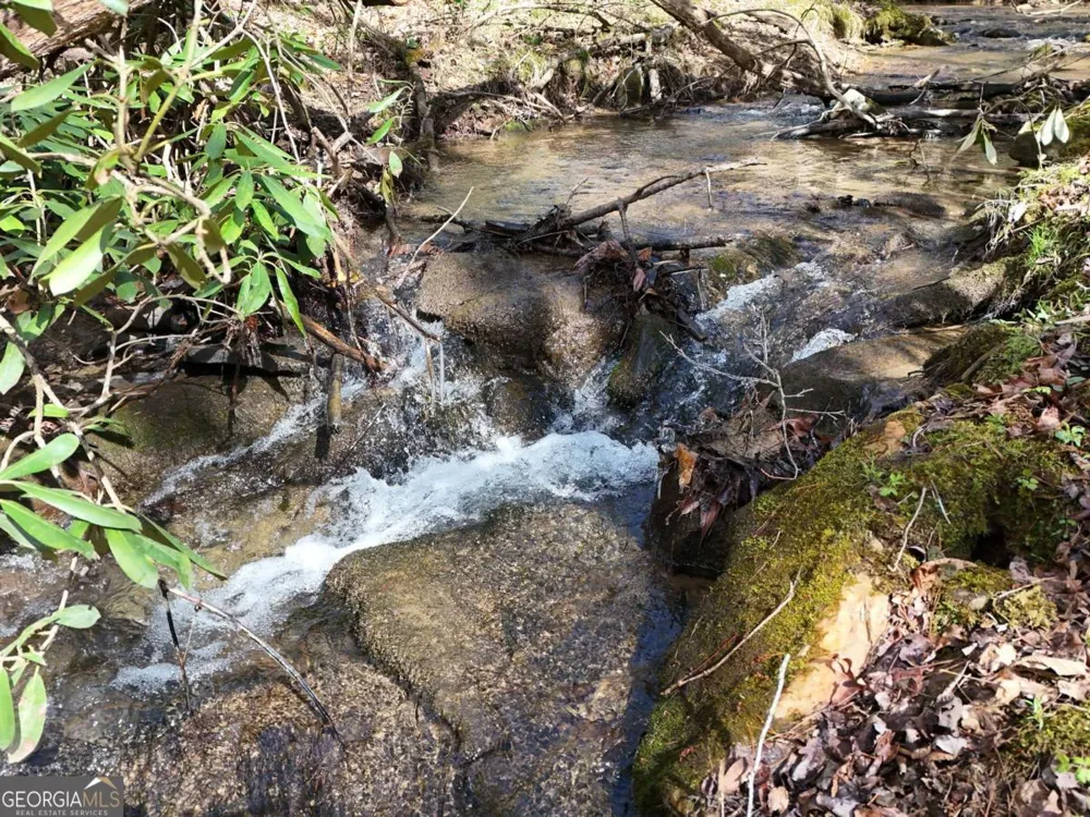 LOT 45B Synacia DR Mineral Bluff, GA 30559