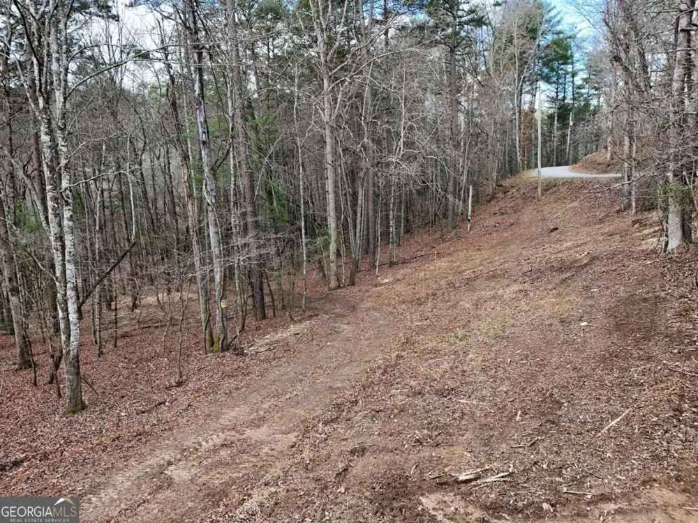 LOT 45B Synacia DR Mineral Bluff, GA 30559