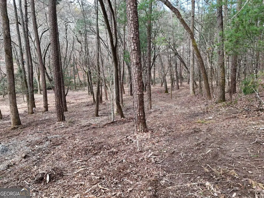 LOT 45B Synacia DR Mineral Bluff, GA 30559