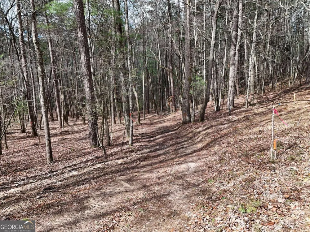 LOT 45B Synacia DR Mineral Bluff, GA 30559