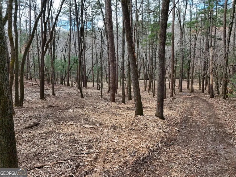 LOT 45B Synacia DR Mineral Bluff, GA 30559