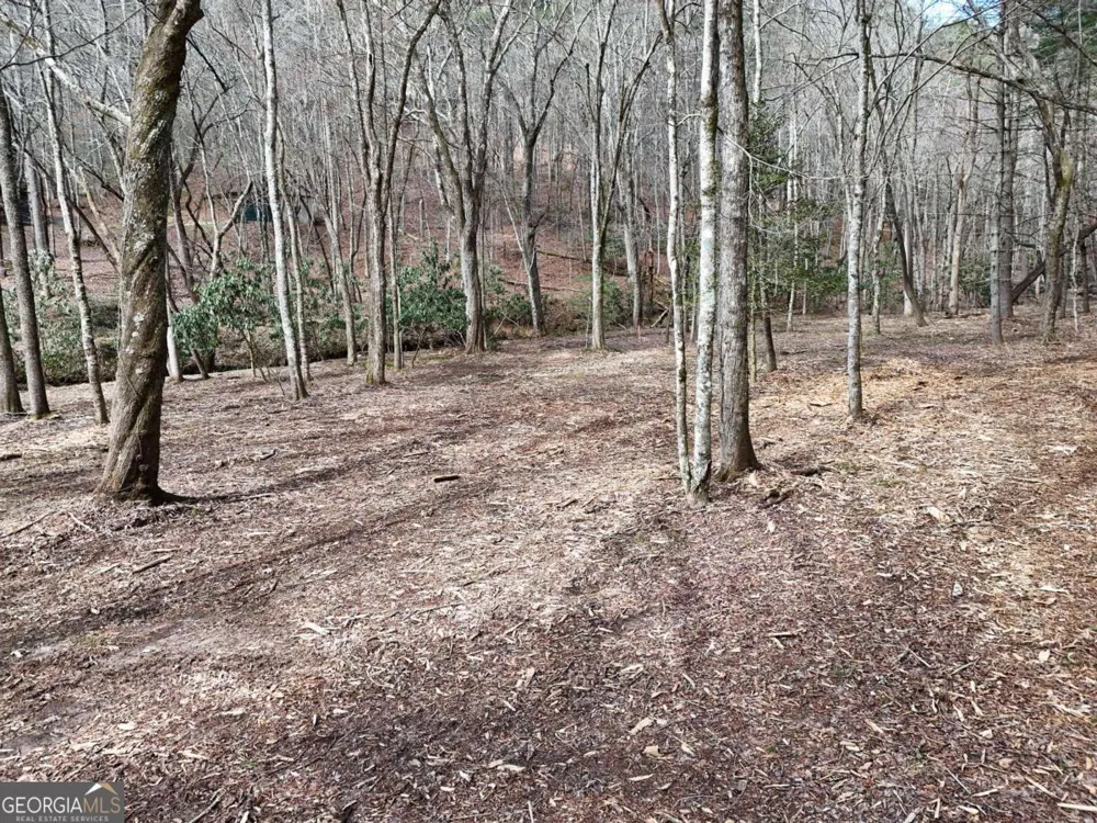 LOT 45B Synacia DR Mineral Bluff, GA 30559