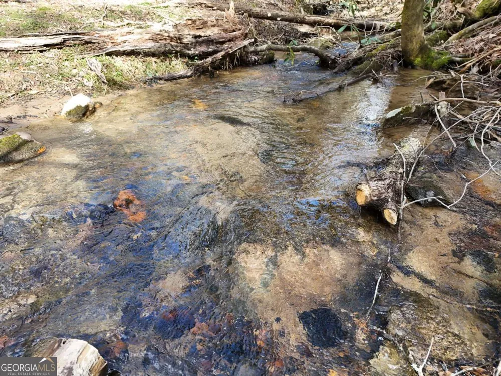 LOT 45B Synacia DR Mineral Bluff, GA 30559